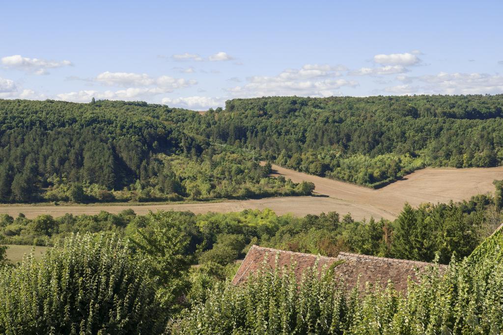 Hotel Restaurant De La Poste & Du Lion D'Or Vézelay Eksteriør bilde